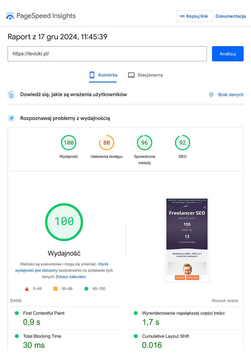 Google PageSpeed Insights - 100 punktów na Mobile dla serwisu levicki.pl 