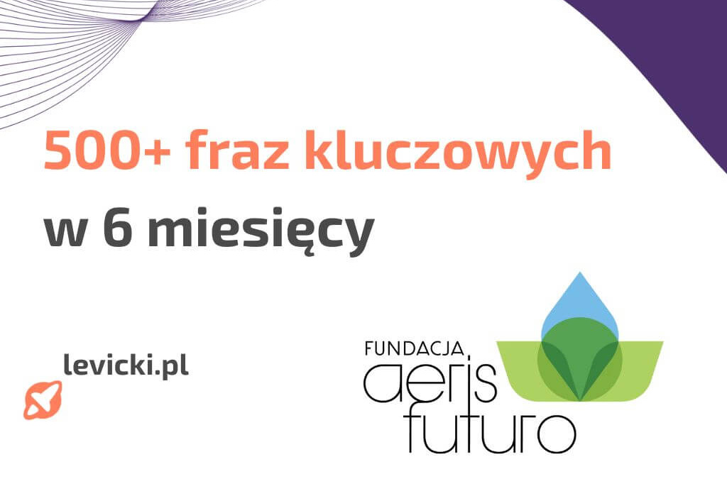 seo case study fundacja aeris futuro