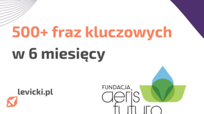 seo case study fundacja aeris futuro