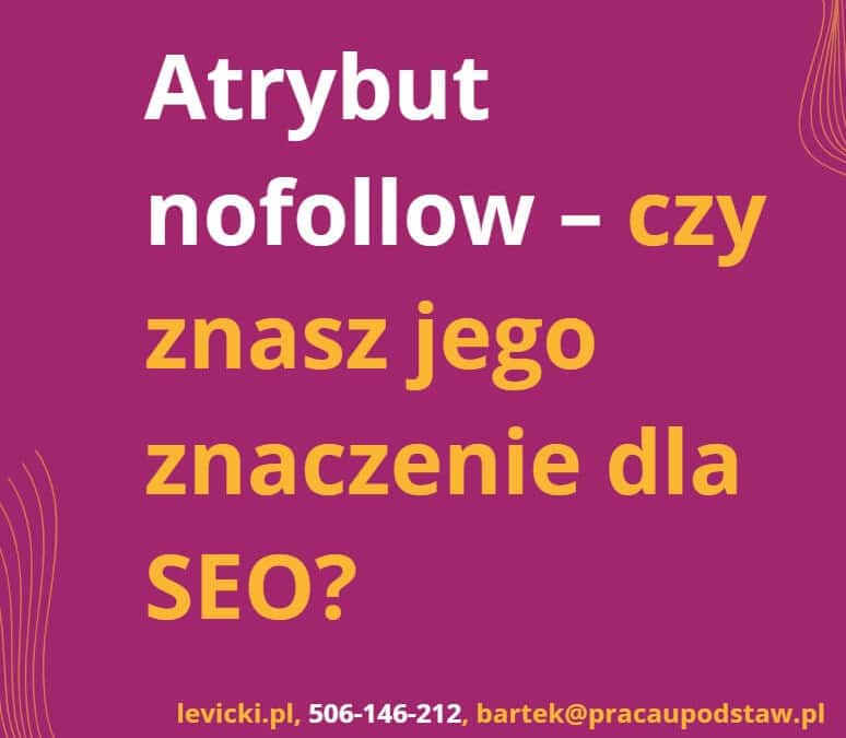 Atrybut noffolow - czy znasz jego znaczenie dla SEO?