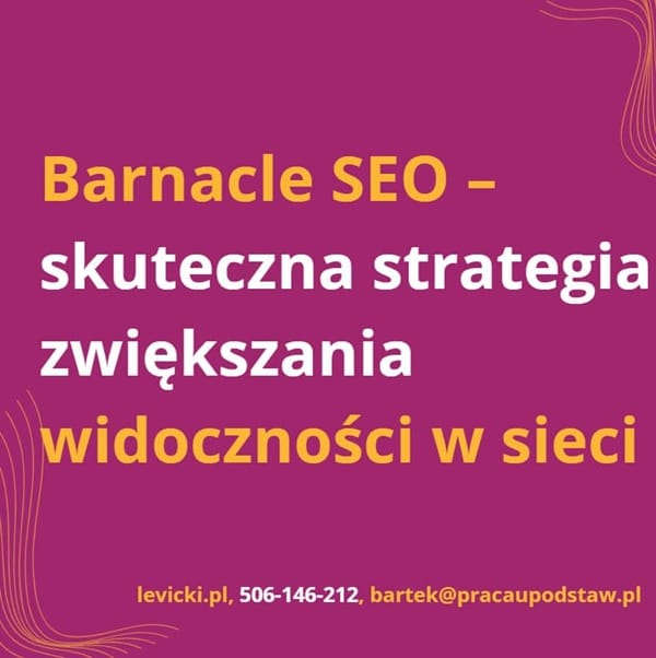 Barnacle SEO - skuteczna strategia zwiększenia widoczności w sieci