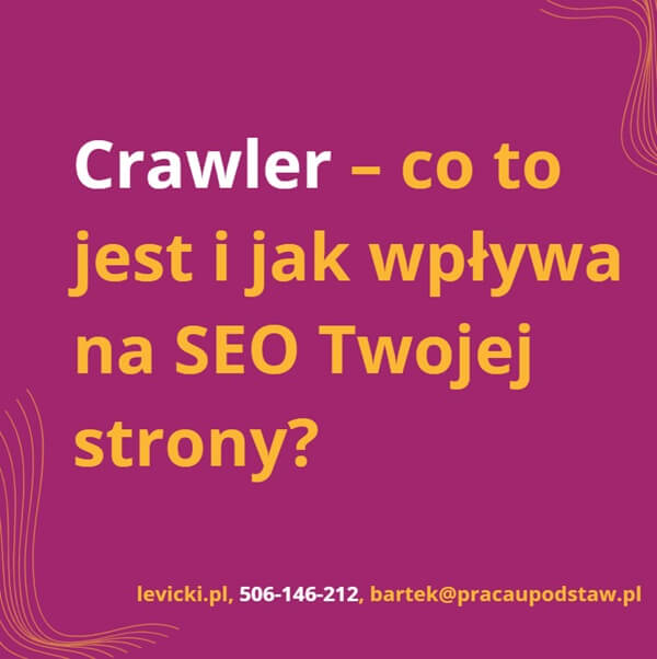 Crawler - co to jest i jak wpływa na SEO Twojej strony?