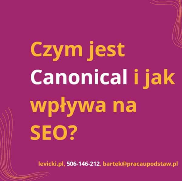 Czym jest Canonical i jak wpływa na SEO?