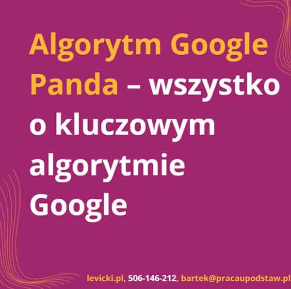 Algorytm Google Panda - wszystko o kluczowym algorytmie Google