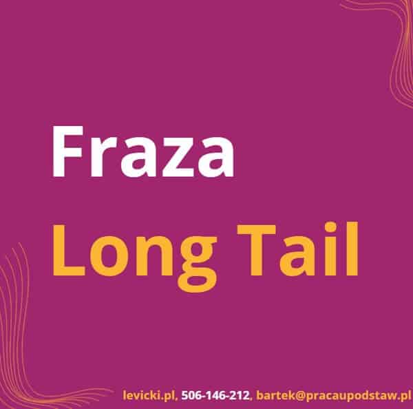 Fraza Long Tail
