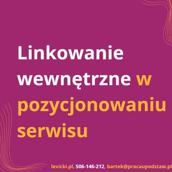 Linkowanie wewnętrzne w pozycjonowaniu serwisu