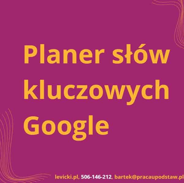 Panel słów kluczowych Google