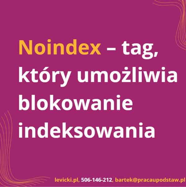 Noindex – tag, który umożliwia blokowanie indeksowania