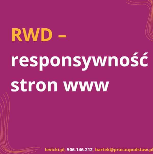 RWD – responsywność stron www i jej znaczenie dla SEO