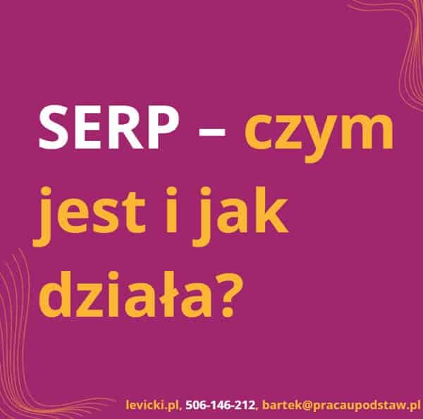 SERP - czym jest i jak działa