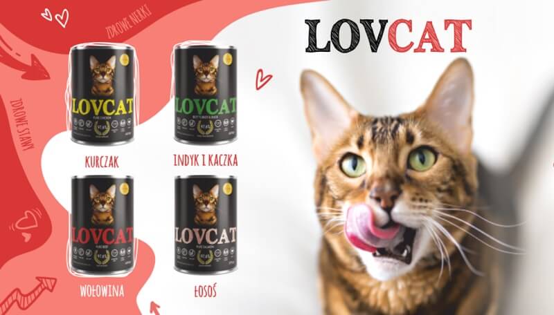 karma dla kota marki lovcat