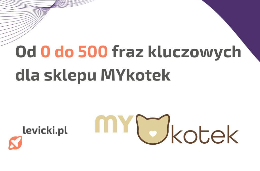 pozycjonowanie sklepu internetowego mykotek
