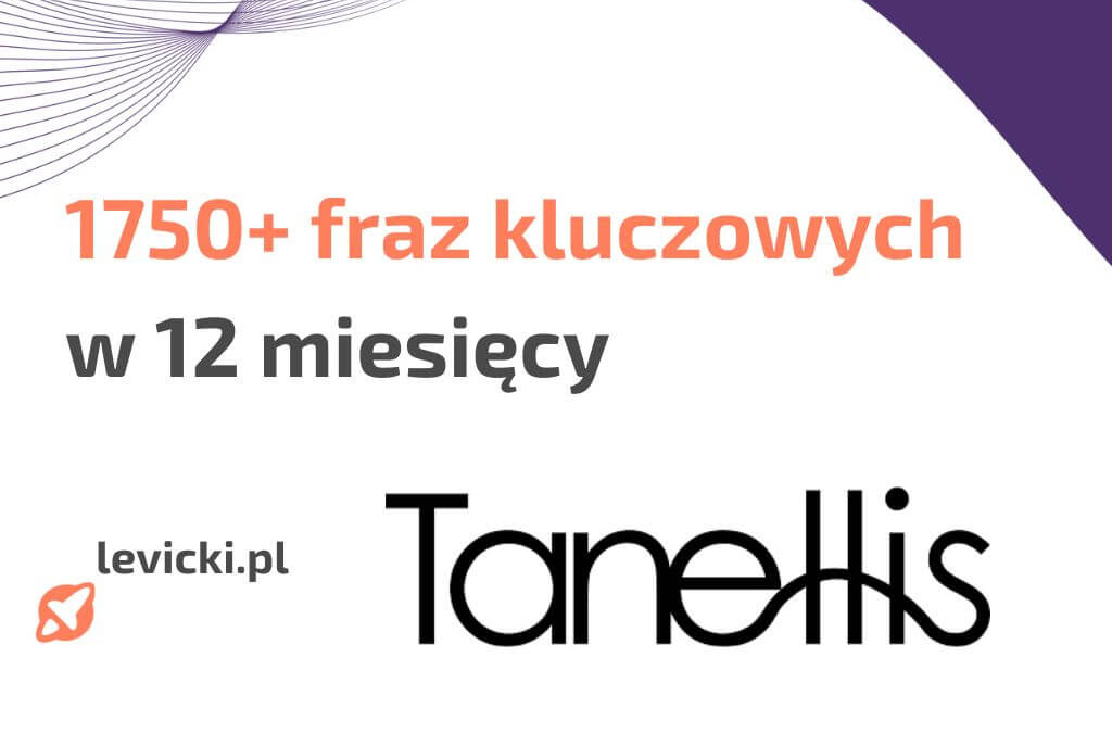 pozycjonowanie ecommerce tanellis case study