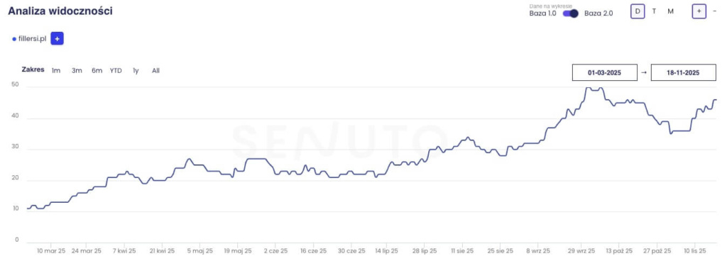 analiza widoczności serwisu internetowego fillersi