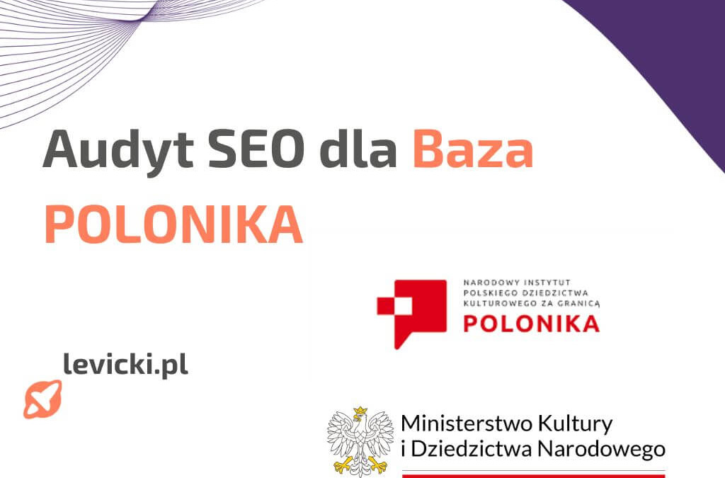 audyt seo dla Baza Polonika