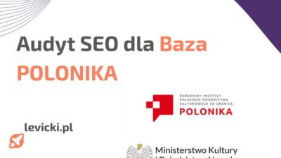 audyt seo dla Baza Polonika